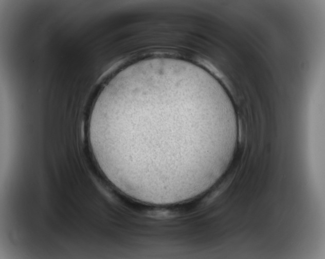 X0000086230253200704261902