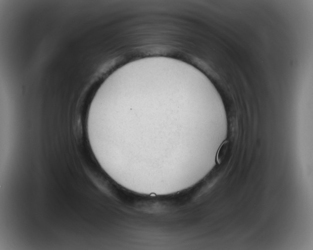 X0000086230254200704261902