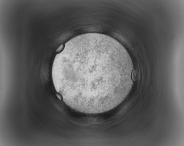 X0000086230255200704261902