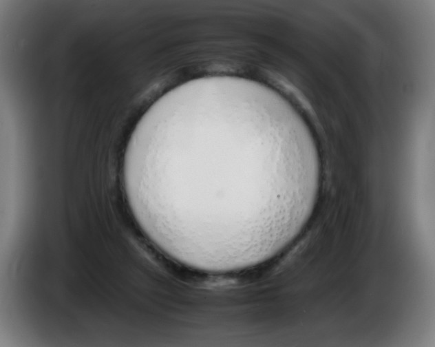 X0000086230257200704261902