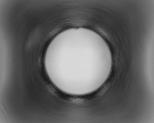 X0000086230258200704261902