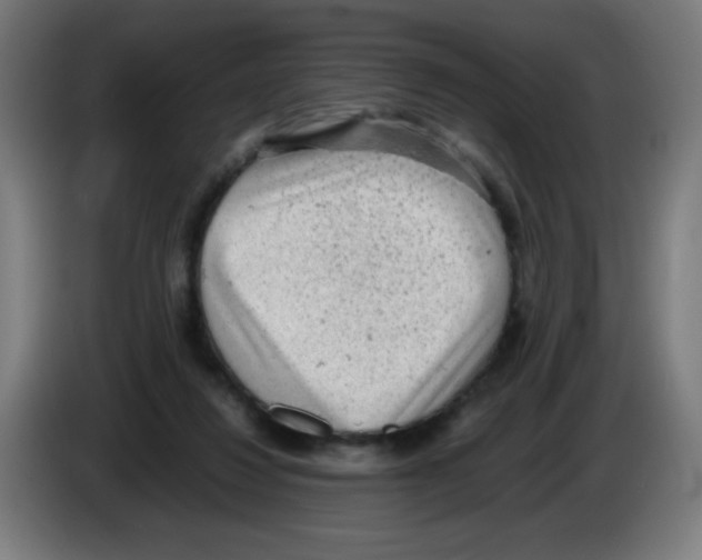 X0000086230260200704261902