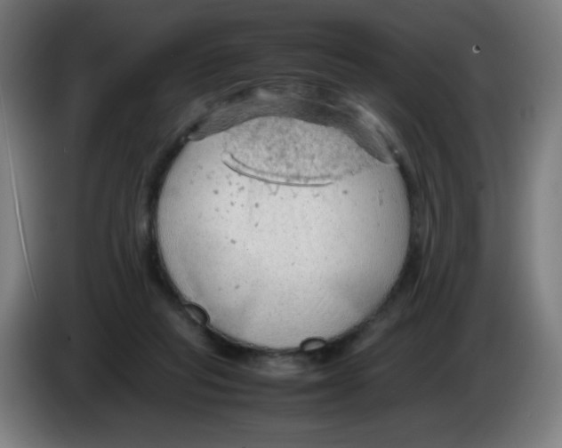 X0000086230261200704261902