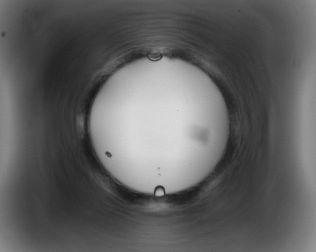 X0000086230262200704261902