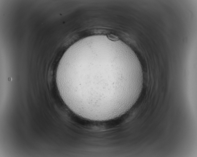 X0000086230263200704261902