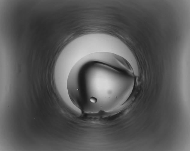 X0000086230264200704261902