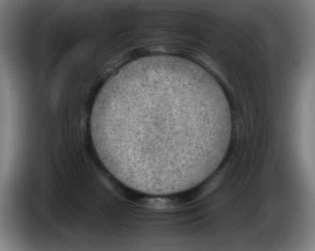 X0000086230265200704261902