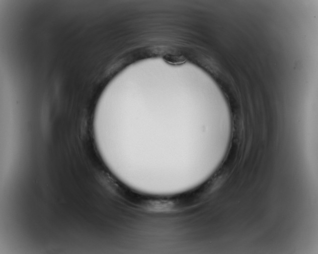 X0000086230266200704261902