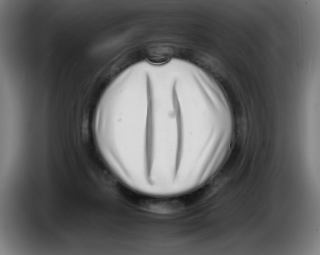 X0000086230267200704261902