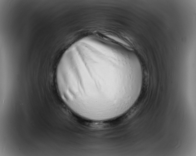 X0000086230269200704261902