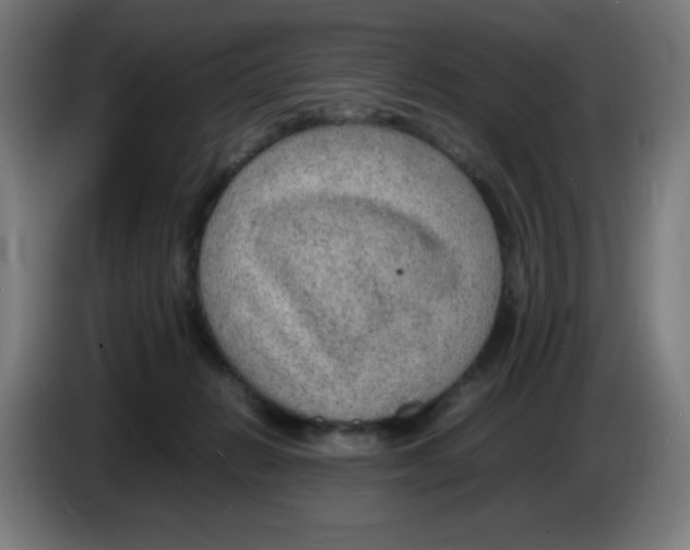 X0000086230270200704261902