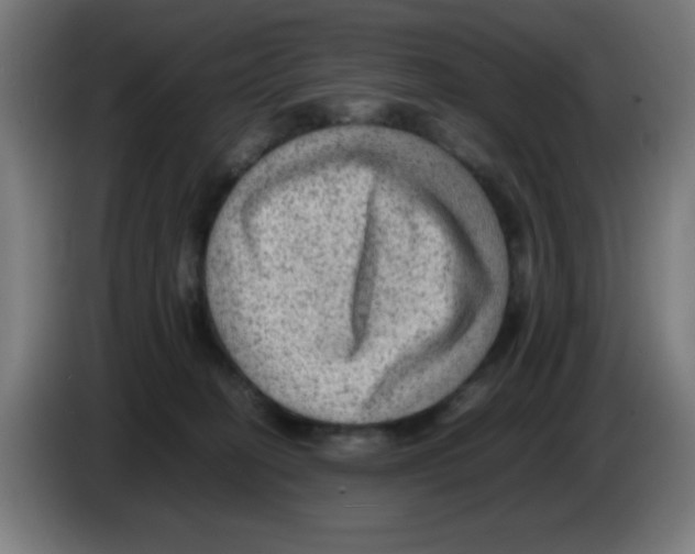 X0000086230274200704261902