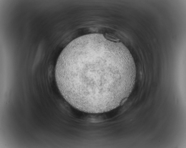 X0000086230275200704261902