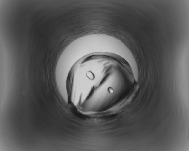 X0000086230276200704261902