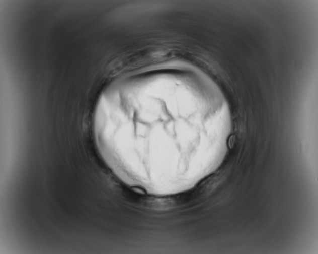 X0000086230277200704261902