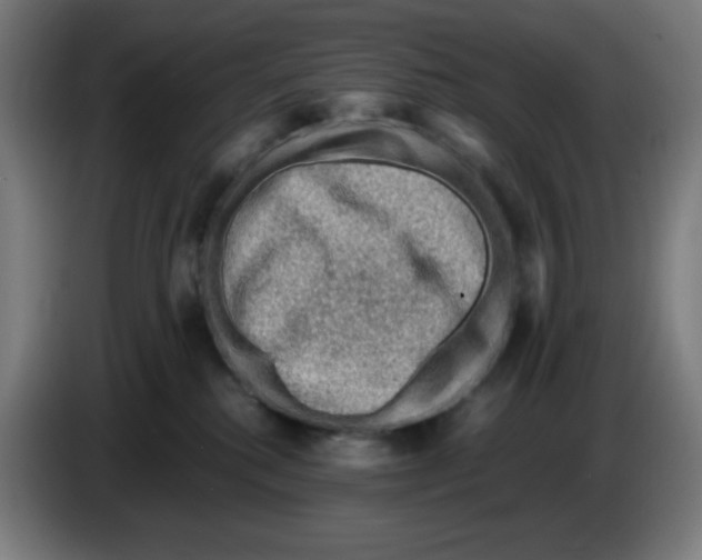 X0000086230280200704261902