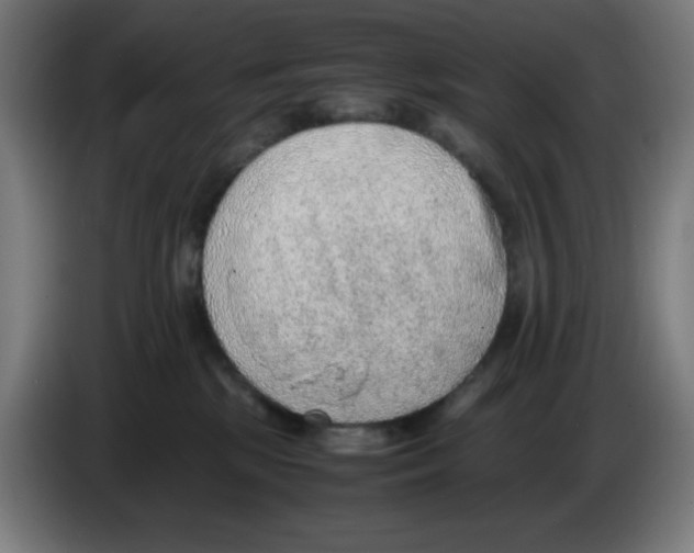 X0000086230281200704261902