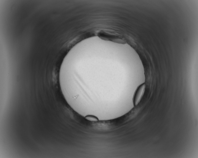 X0000086230282200704261902