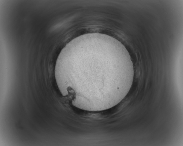 X0000086230283200704261902