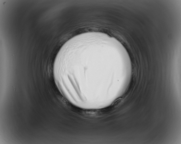 X0000086230285200704261902