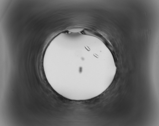 X0000086230289200704261902