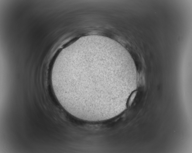 X0000086230291200704261902