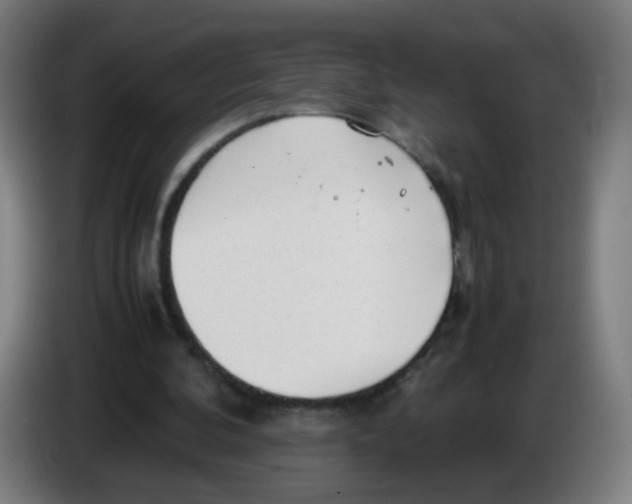 X0000086230292200704261902