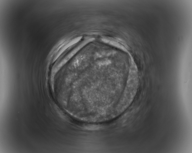 X0000086230293200704261902