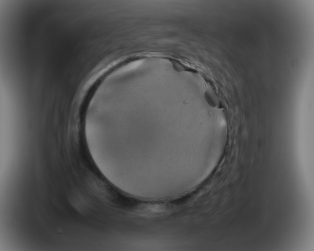 X0000086230295200704261901