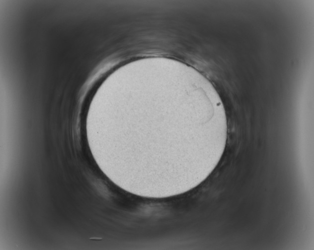 X0000086230296200704261901