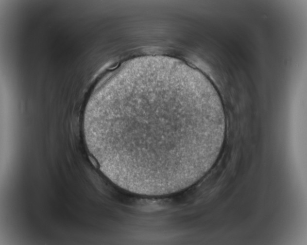 X0000086230297200704261901