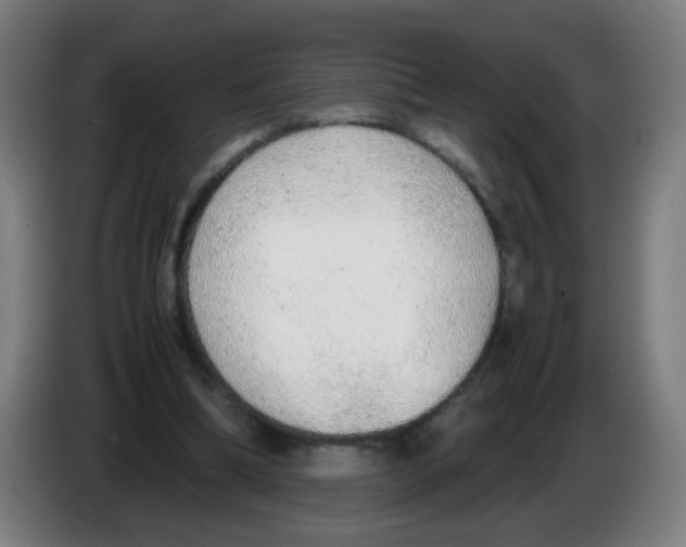 X0000086230298200704261901