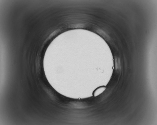 X0000086230300200704261901