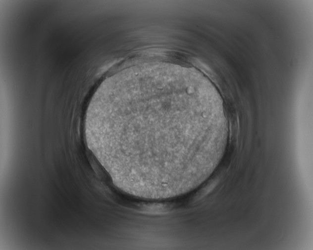 X0000086230301200704261901