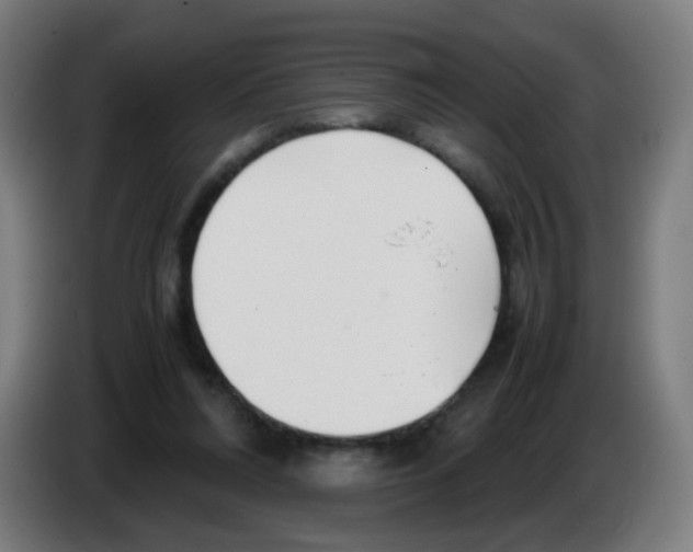 X0000086230304200704261901