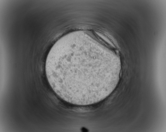 X0000086230305200704261901