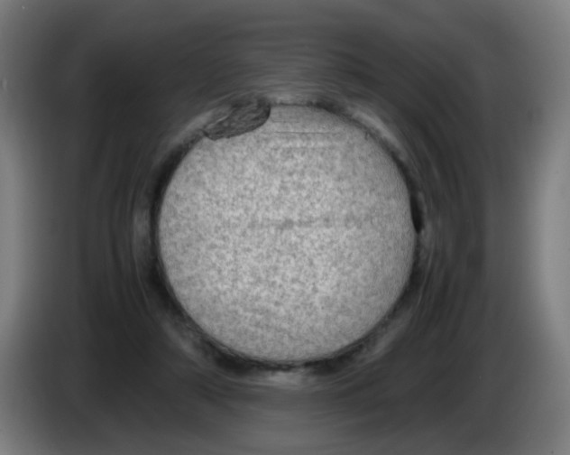 X0000086230306200704261901