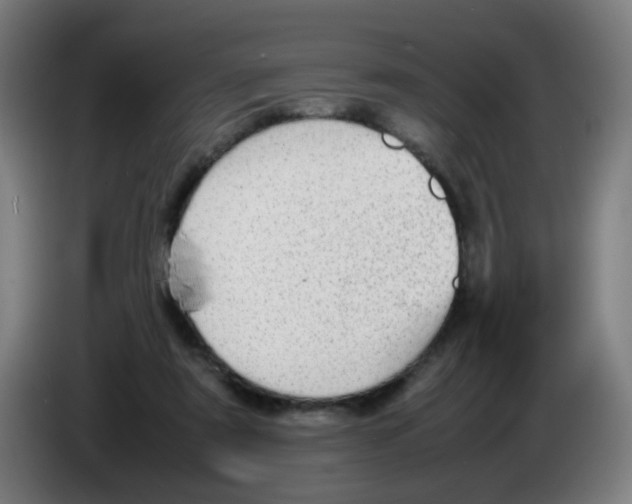 X0000086230307200704261901