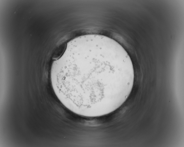 X0000086230309200704261901