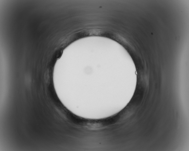 X0000086230311200704261901