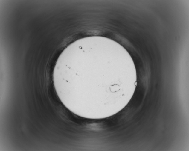 X0000086230312200704261901