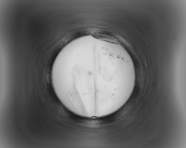 X0000086230313200704261901