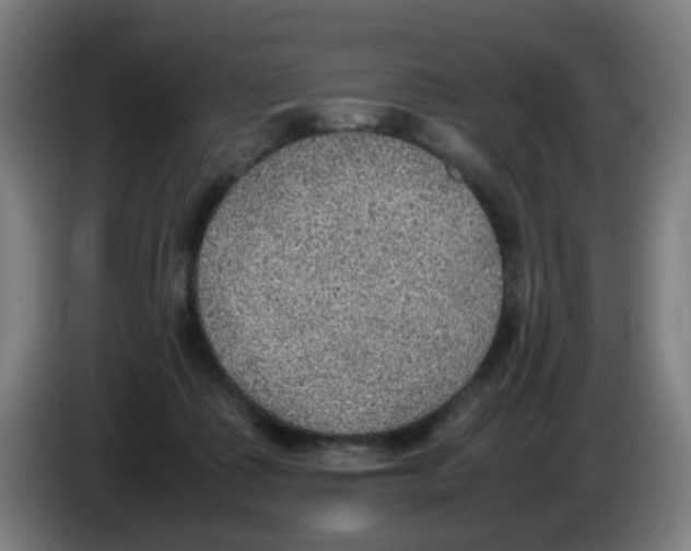 X0000086230315200704261901