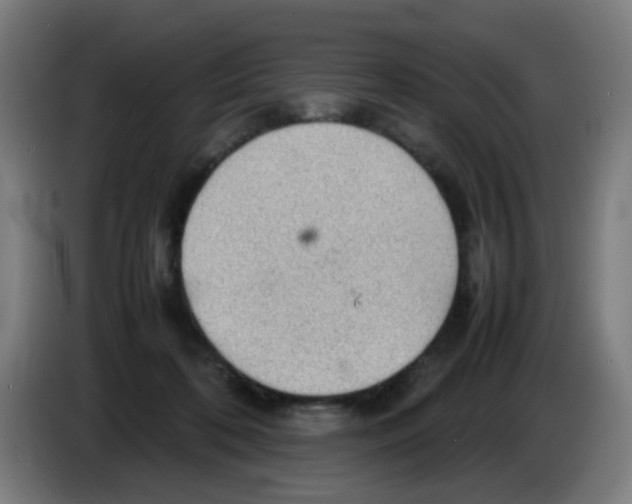 X0000086230316200704261901