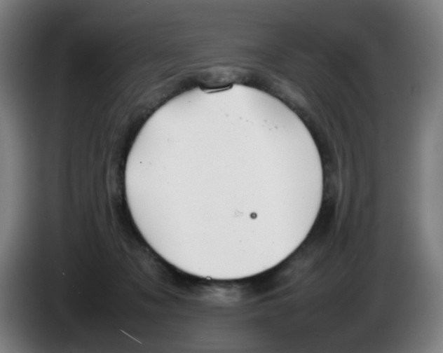 X0000086230317200704261901