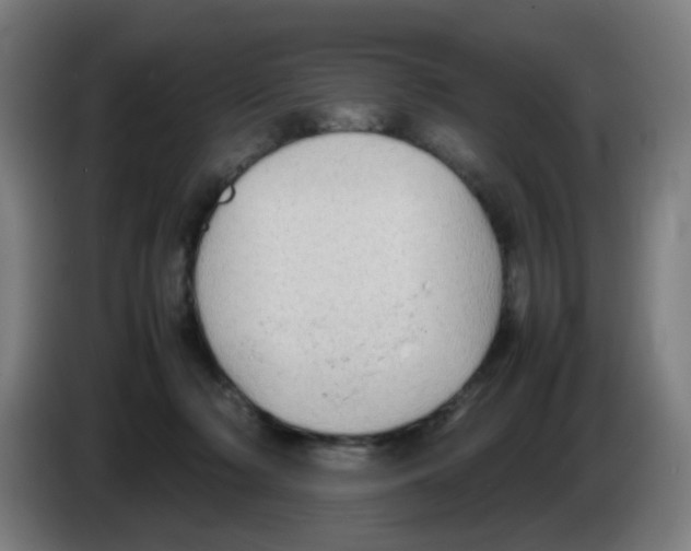 X0000086230318200704261901