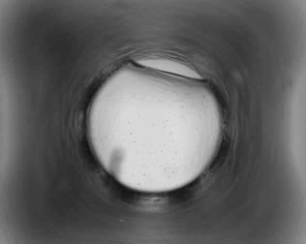 X0000086230319200704261901