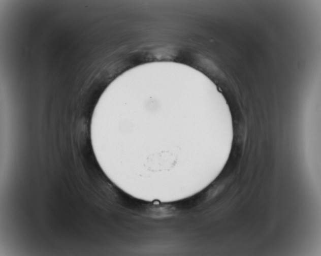 X0000086230321200704261901