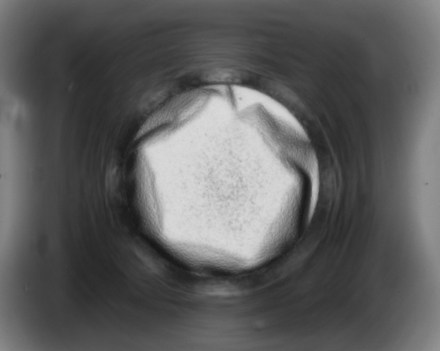 X0000086230322200704261901