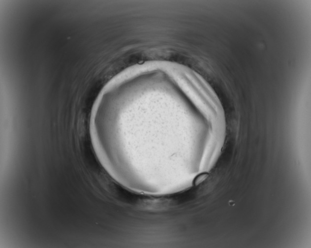 X0000086230323200704261901